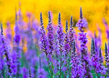 Fami通电击游戏大奖2023获奖名单公布 《塞尔达传说：王国之泪》斩获年度最佳