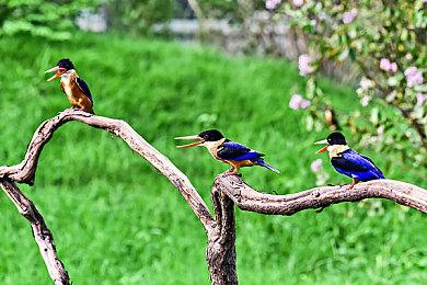 两款日式RPG游戏开启众筹并获得成功 解锁延伸目标